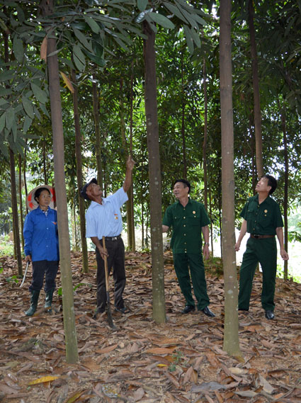 Ông Vũ Đình Sinh (thứ 2 bên trái) trao đổi việc trồng quế với cán bộ Hội Cựu chiến binh huyện Văn Yên.
